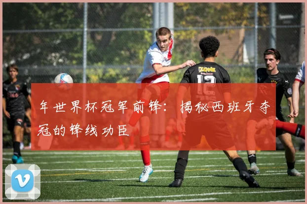 年世界杯冠军前锋：揭秘西班牙夺冠的锋线功臣