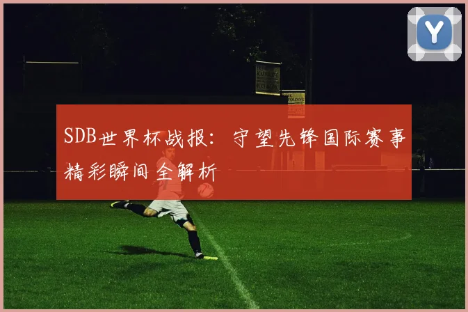 SDB世界杯战报：守望先锋国际赛事精彩瞬间全解析